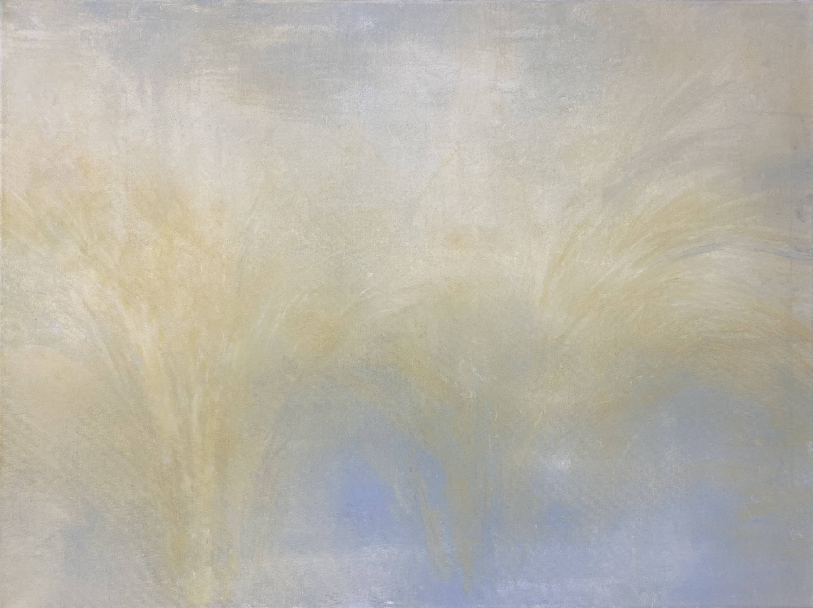 Memoria di Reed